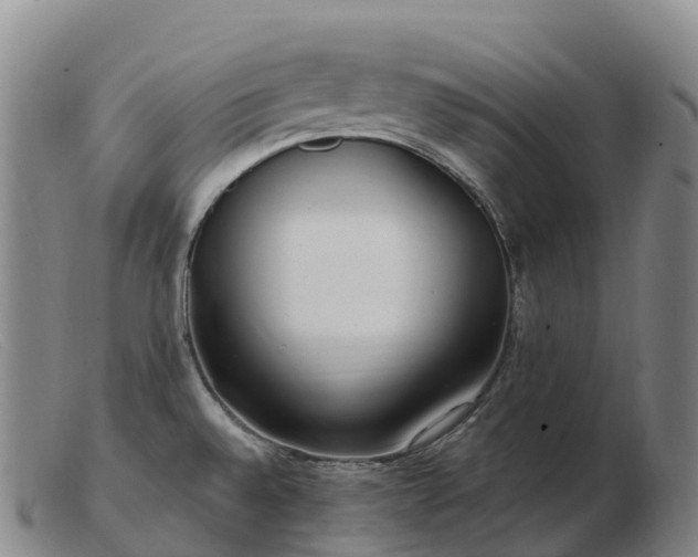 X0000103461528200809191759
