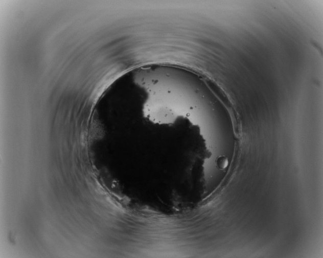 X0000103461529200809191759