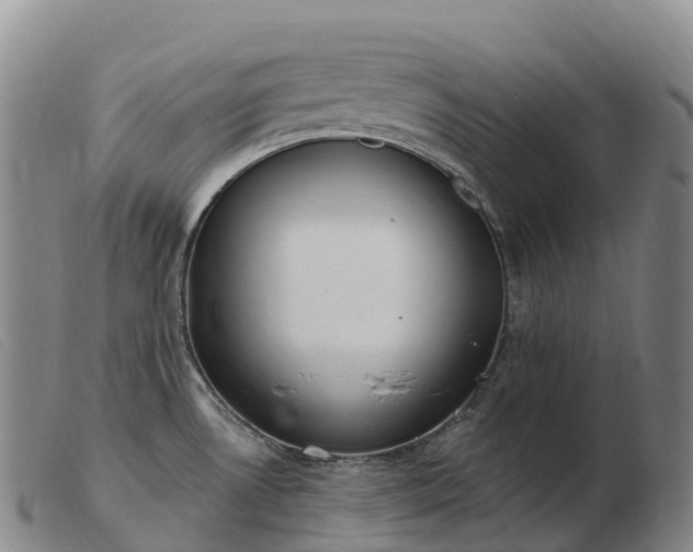 X0000103461530200809191759