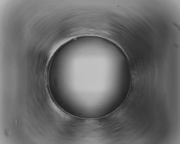 X0000103461531200809191759