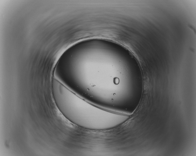 X0000103461532200809191759