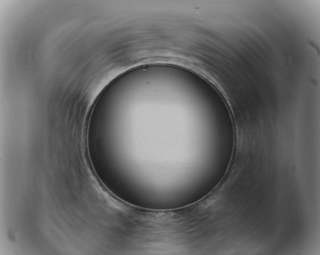 X0000103461533200809191759