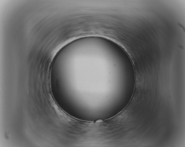 X0000103461534200809191800