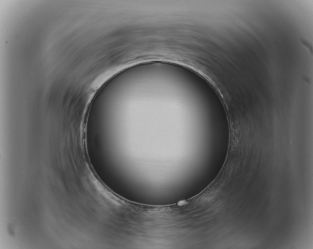 X0000103461535200809191800