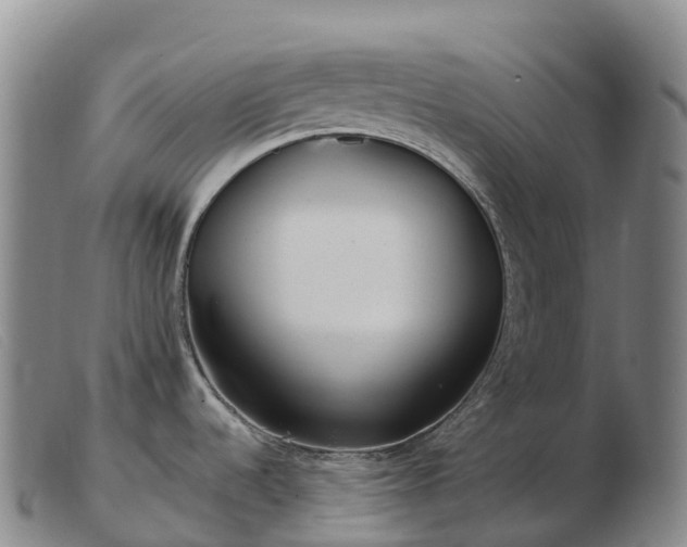 X0000103461536200809191800