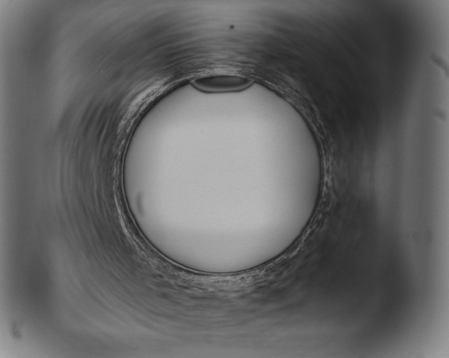 X0000103460001200809261851