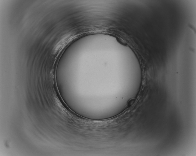 X0000103460002200809261851