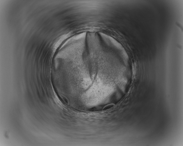 X0000103460003200809261851