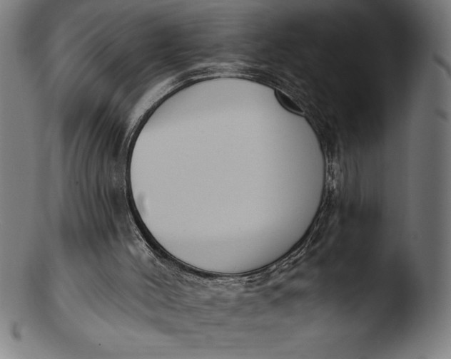 X0000103460004200809261851