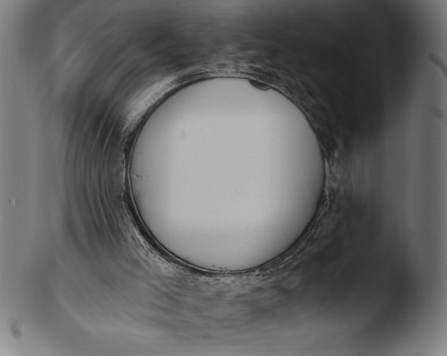 X0000103460005200809261851