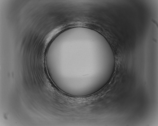 X0000103460006200809261851