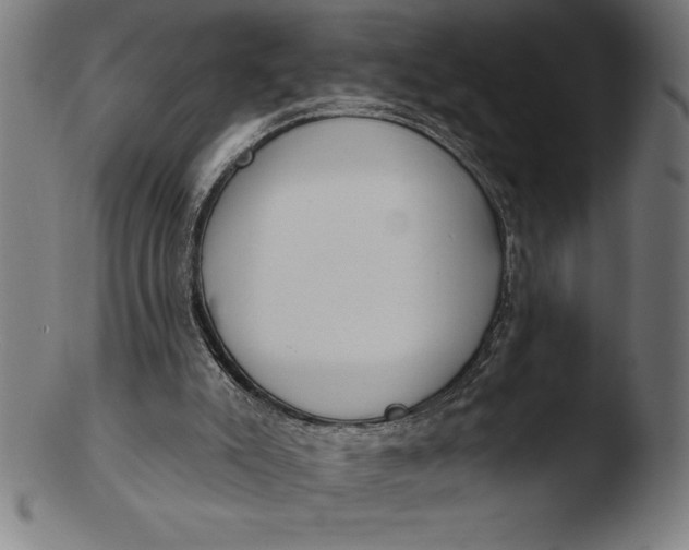 X0000103460007200809261851