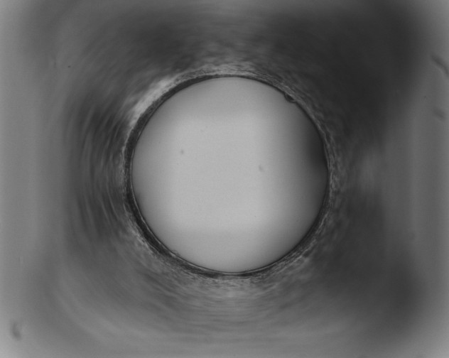 X0000103460008200809261851