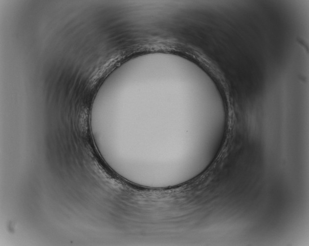 X0000103460009200809261851