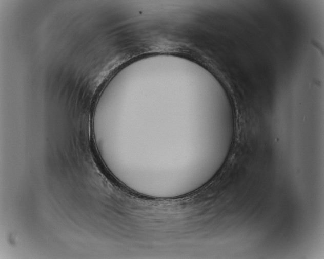 X0000103460011200809261851