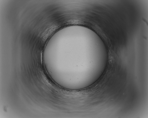 X0000103460014200809261851