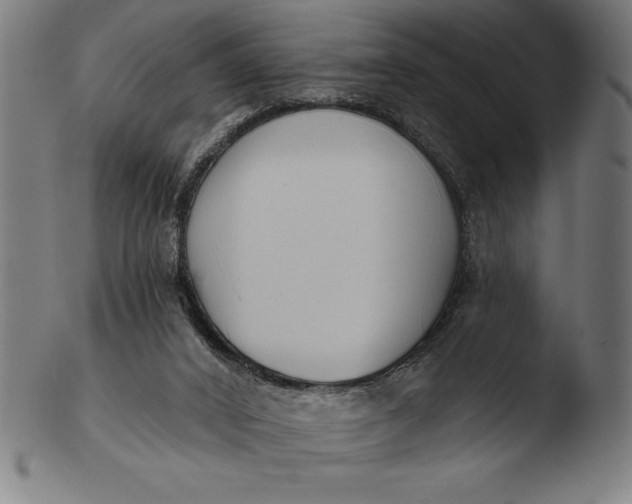 X0000103460016200809261851