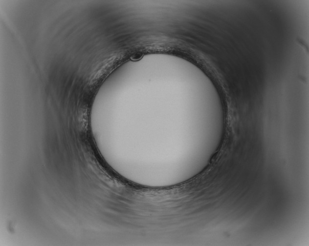 X0000103460017200809261851