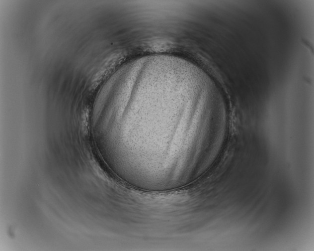 X0000103460018200809261851