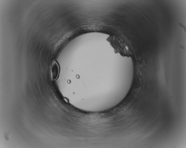 X0000103460020200809261851