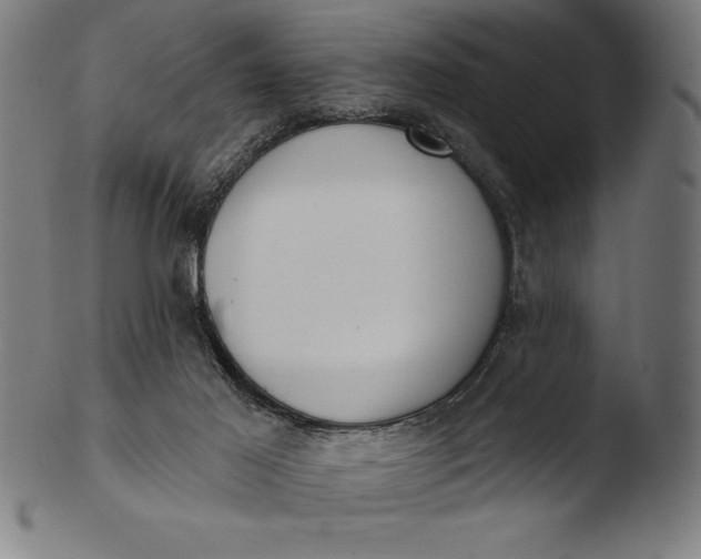 X0000103460021200809261851