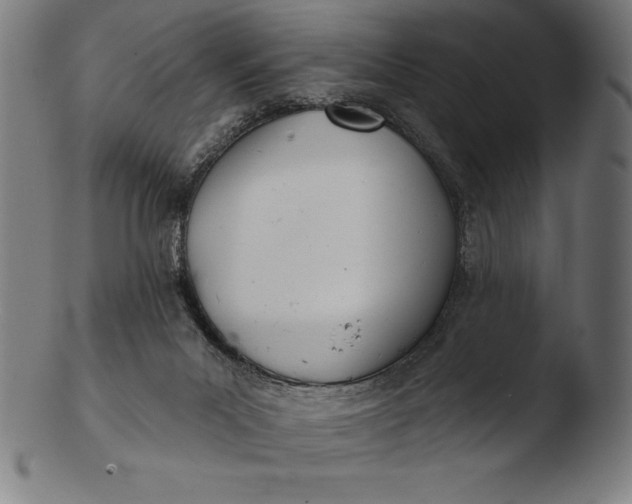 X0000103460023200809261851