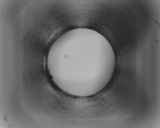 X0000103460024200809261851