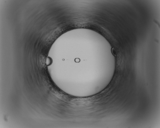 X0000103460025200809261851