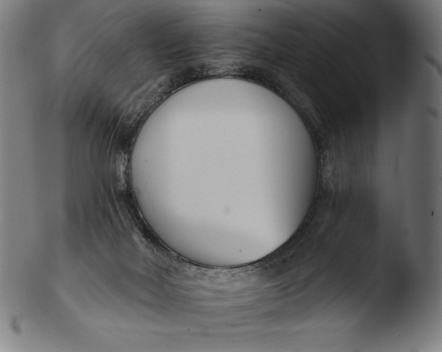 X0000103460026200809261851