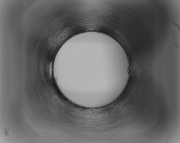 X0000103460028200809261851