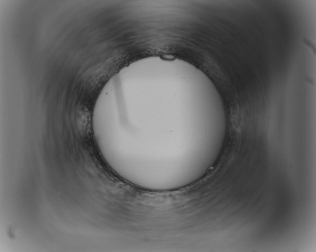 X0000103460029200809261851