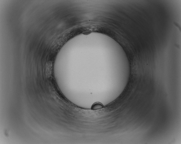 X0000103460030200809261851