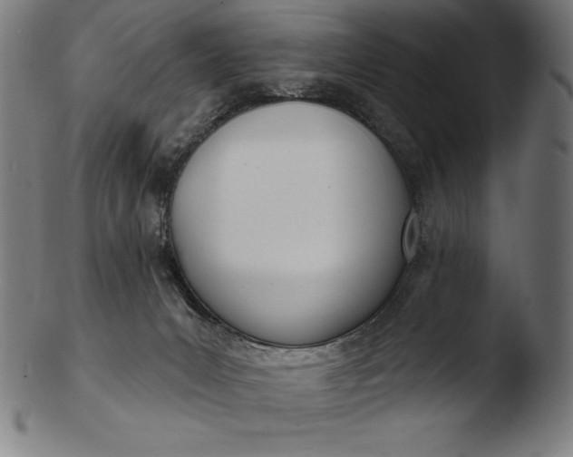 X0000103460031200809261851