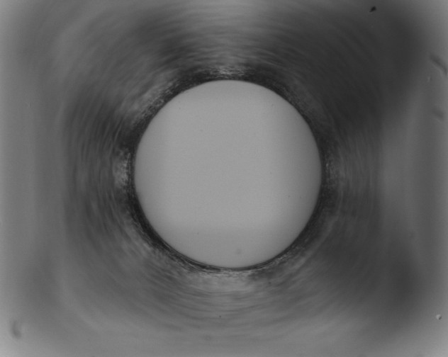 X0000103460032200809261851