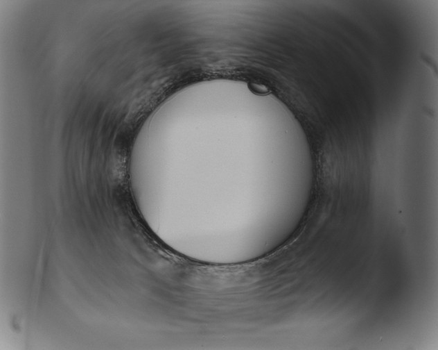 X0000103460033200809261851