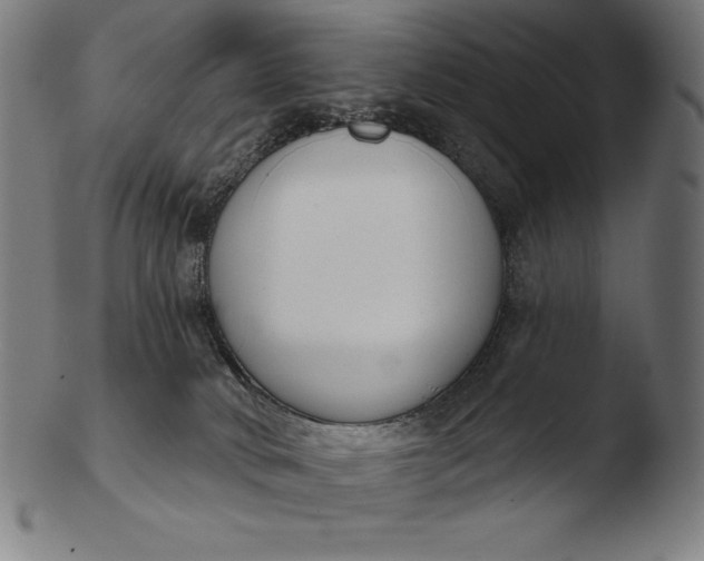 X0000103460034200809261851