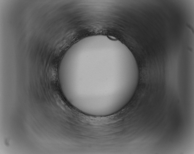 X0000103460039200809261851