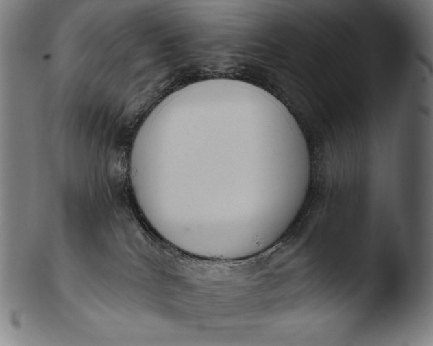 X0000103460040200809261851