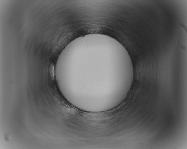 X0000103460041200809261851