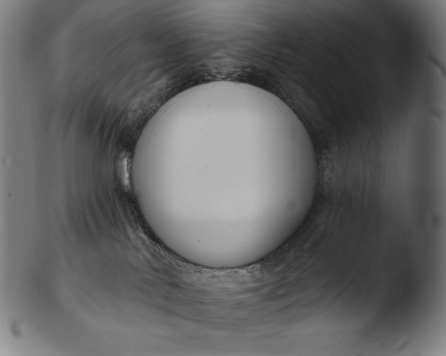 X0000103460042200809261851