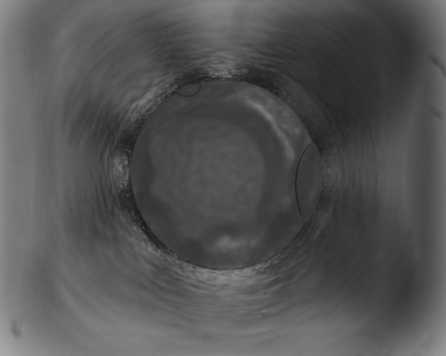 X0000103460043200809261851