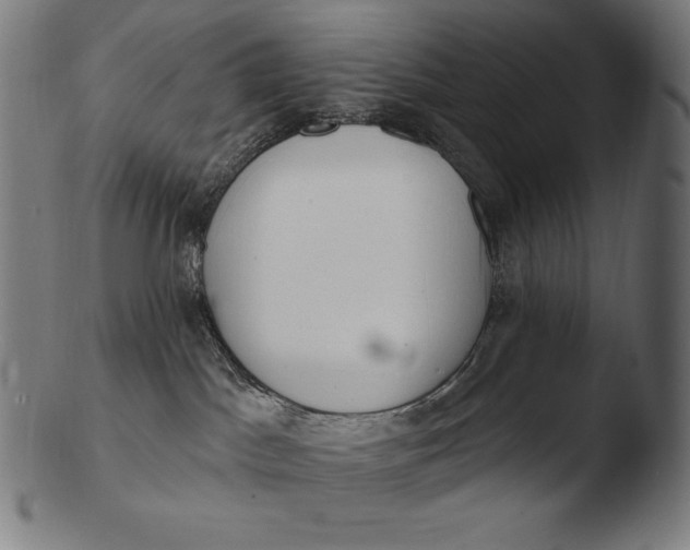 X0000103460045200809261851