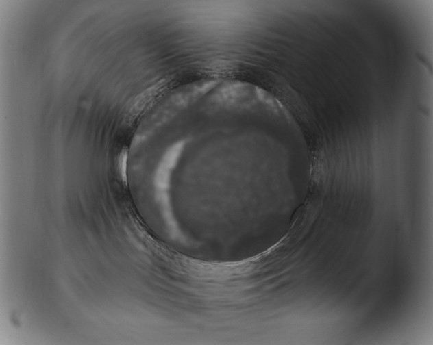 X0000103460047200809261851