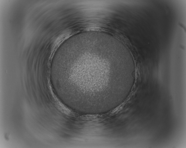 X0000103460049200809261850