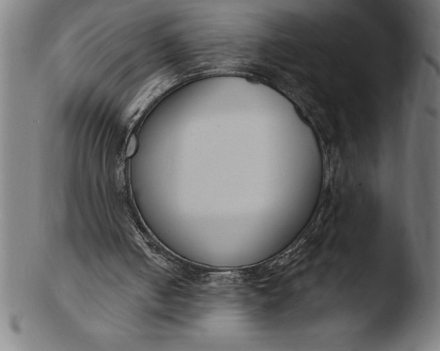 X0000103460050200809261850