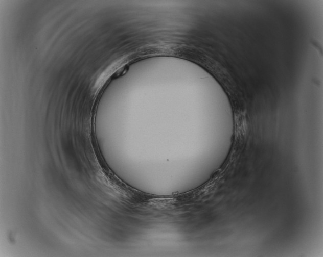 X0000103460051200809261850