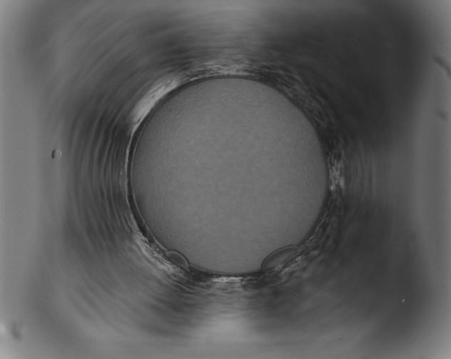 X0000103460052200809261850