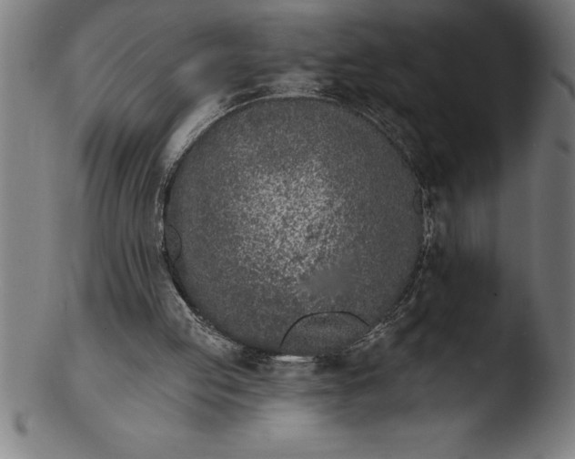 X0000103460053200809261850