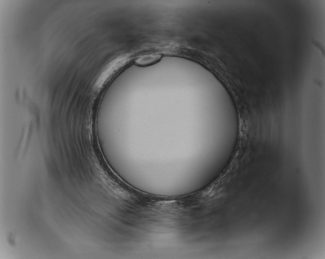 X0000103460054200809261850