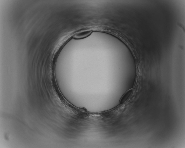 X0000103460055200809261850